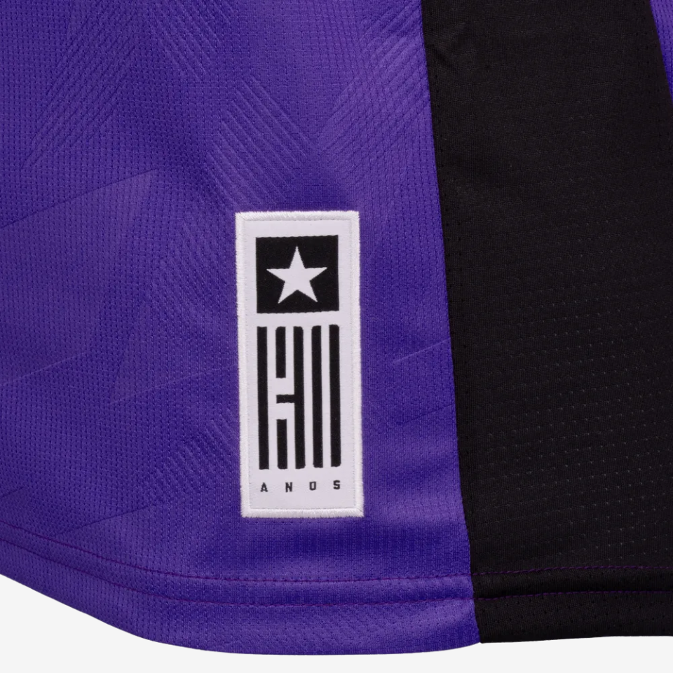 Camisa Goleiro Reebok Botafogo 2024/25 IV