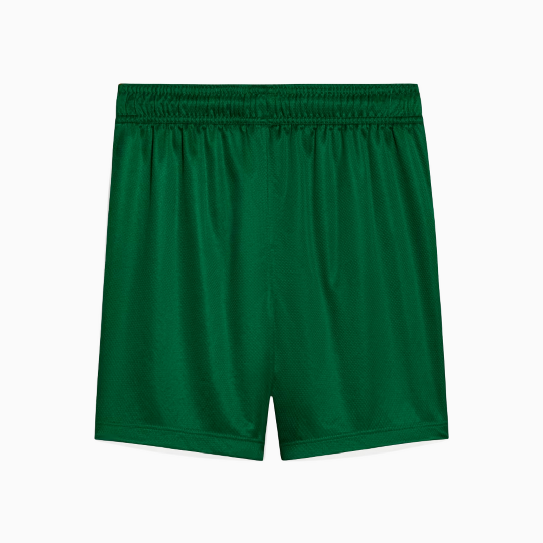 Shorts Palmeiras 2025 II – Torcedor