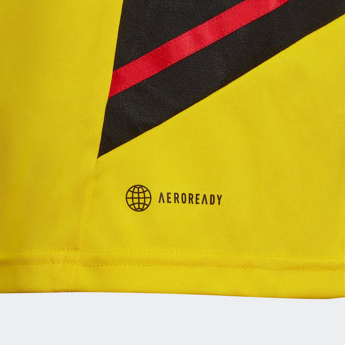 Camisa de Treino Flamengo 2022/23