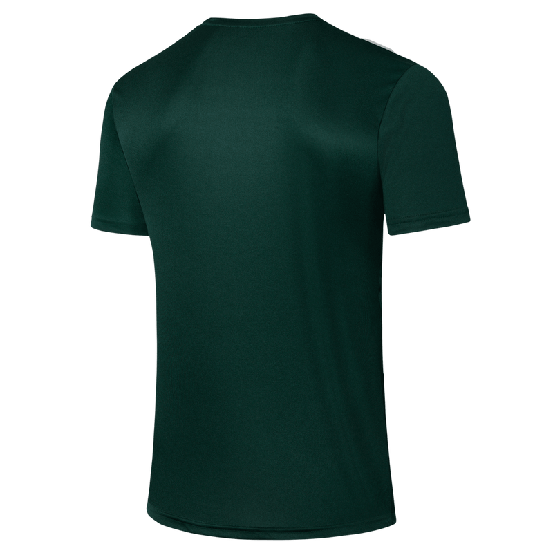 Camisa de Treino Palmeiras 2023/24