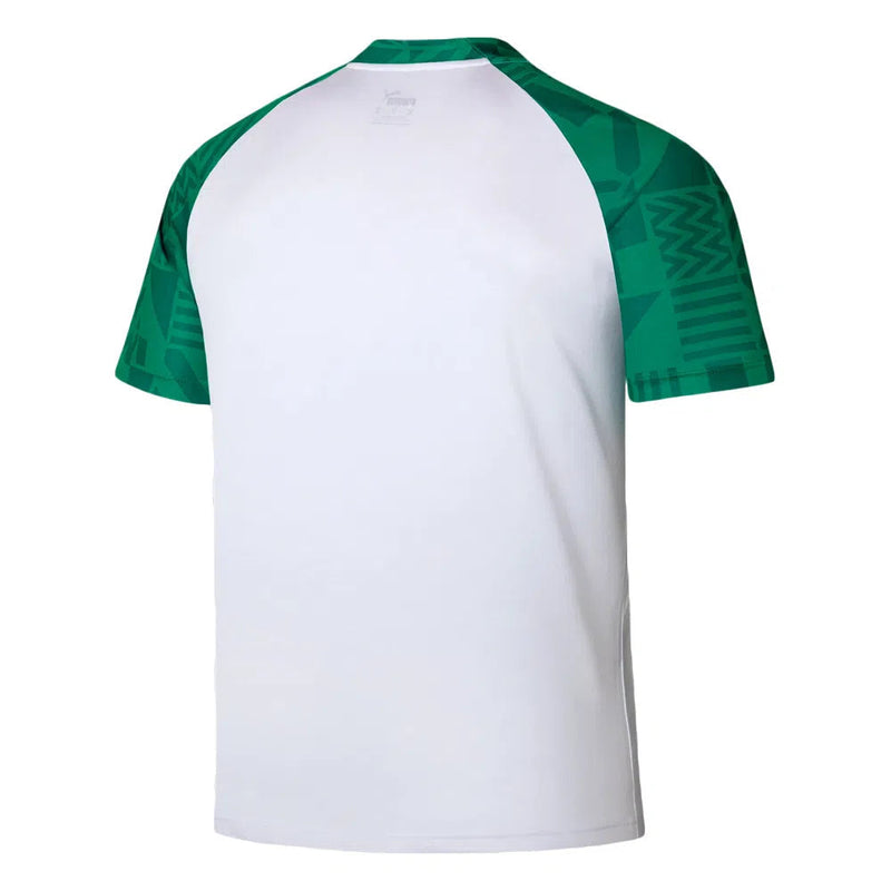 Camisa do Palmeiras 2023/24 Pré Jogo