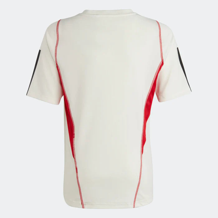 Camisa de Treino Flamengo 2023/24