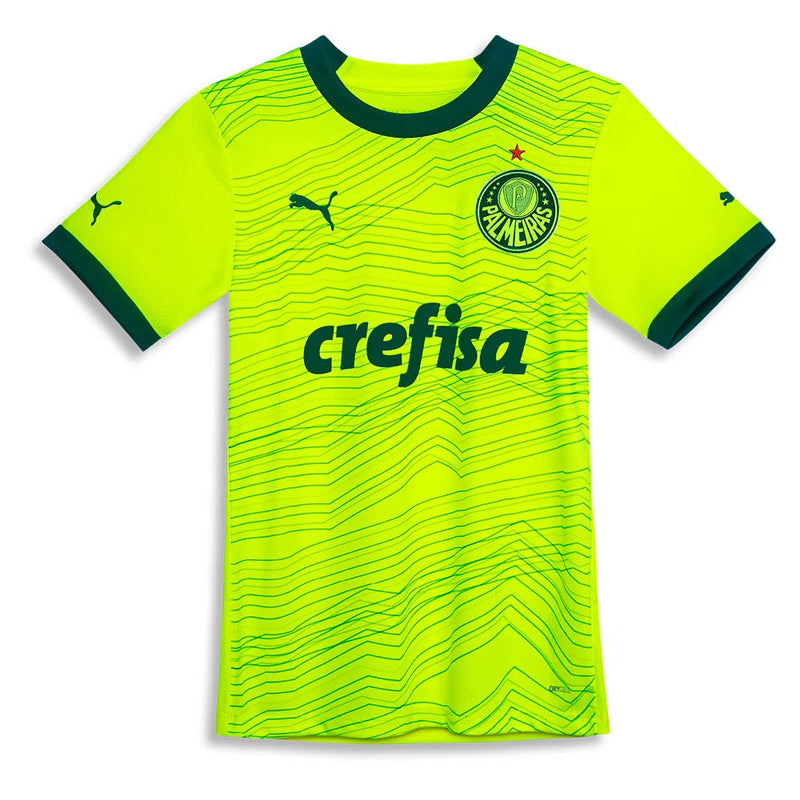 Camisa Feminina do Palmeiras lll 2023/24