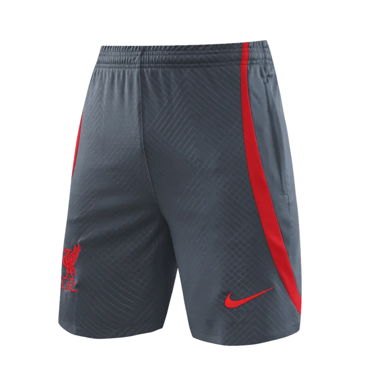 Conjunto de Treino Liverpool 2023 Cinza