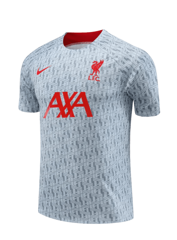 Conjunto de Treino Liverpool 2023 Cinza